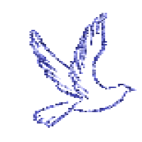 What Makes Islam So Different